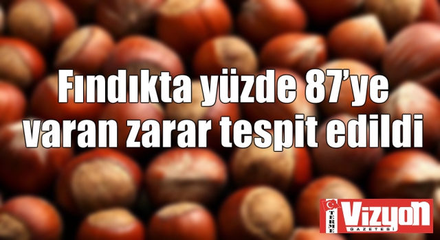 Fındıkta yüzde 87’ye varan zarar tespit edildi