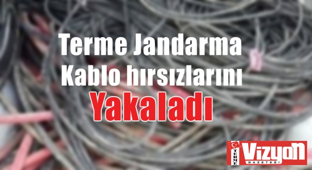 Terme Jandarma kablo hırsızlarını yakaladı