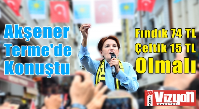 Meral Akşener’den Terme’de fındık ve çeltik vurgusu