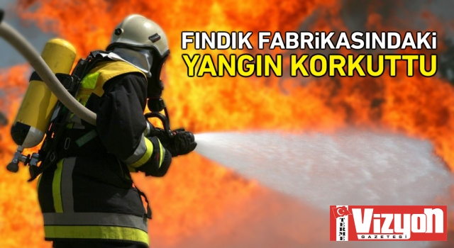 Fındık fabrikasındaki yangın korkuttu