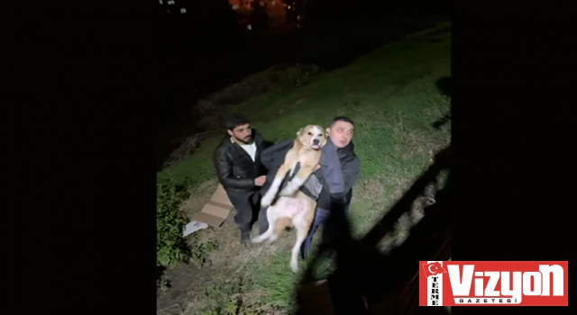 İftara giderken sokak köpeğinin hayatını kurtardı