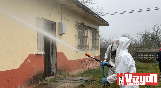 Samsun’da kokarca zararlısına karşı mücadele sürüyor