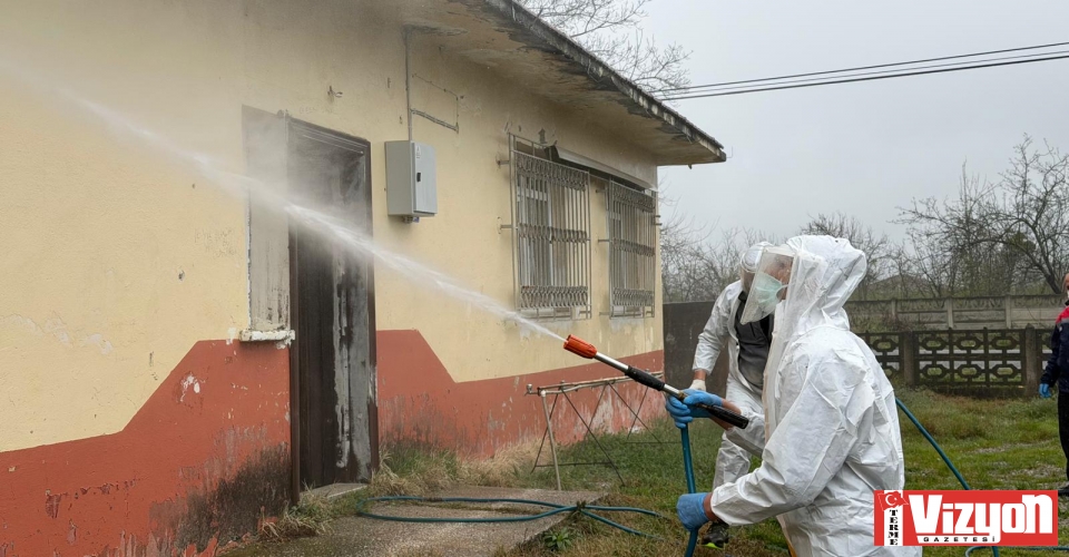 Samsun’da kokarca zararlısına karşı mücadele sürüyor