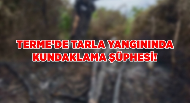 Terme’de tarla yangınında kundaklama şüphesi!