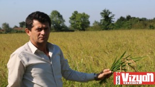 Başkan Ergün, “TMO Fiyatı Açıklamalı, Çiftçiyi Mağdur Etmemeli”