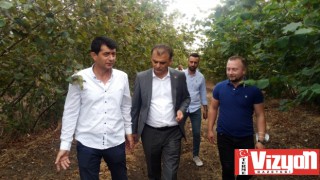 CHP İl Başkanı Türkel’den Terme’de İnceleme