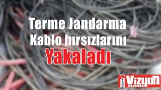 Terme Jandarma kablo hırsızlarını yakaladı