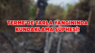 Terme’de tarla yangınında kundaklama şüphesi!