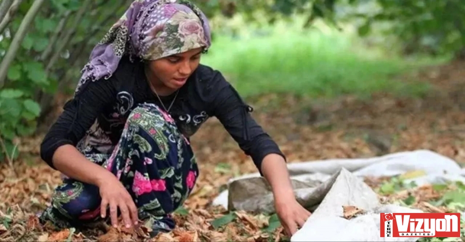 Terme'de Yevmiye Geri Çekildi: 1.000 TL'ye Düştü